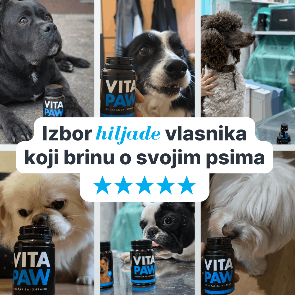 VitaPaw za pse