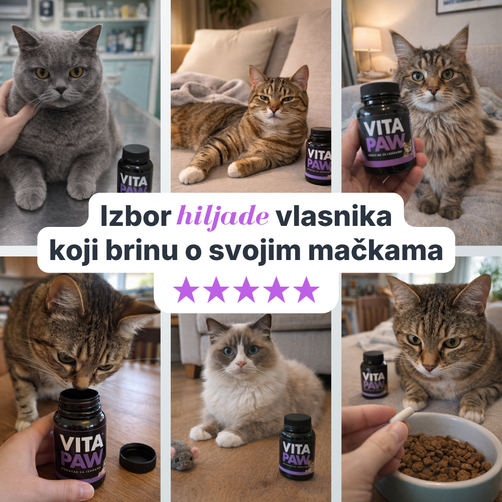 VitaPaw za mačke