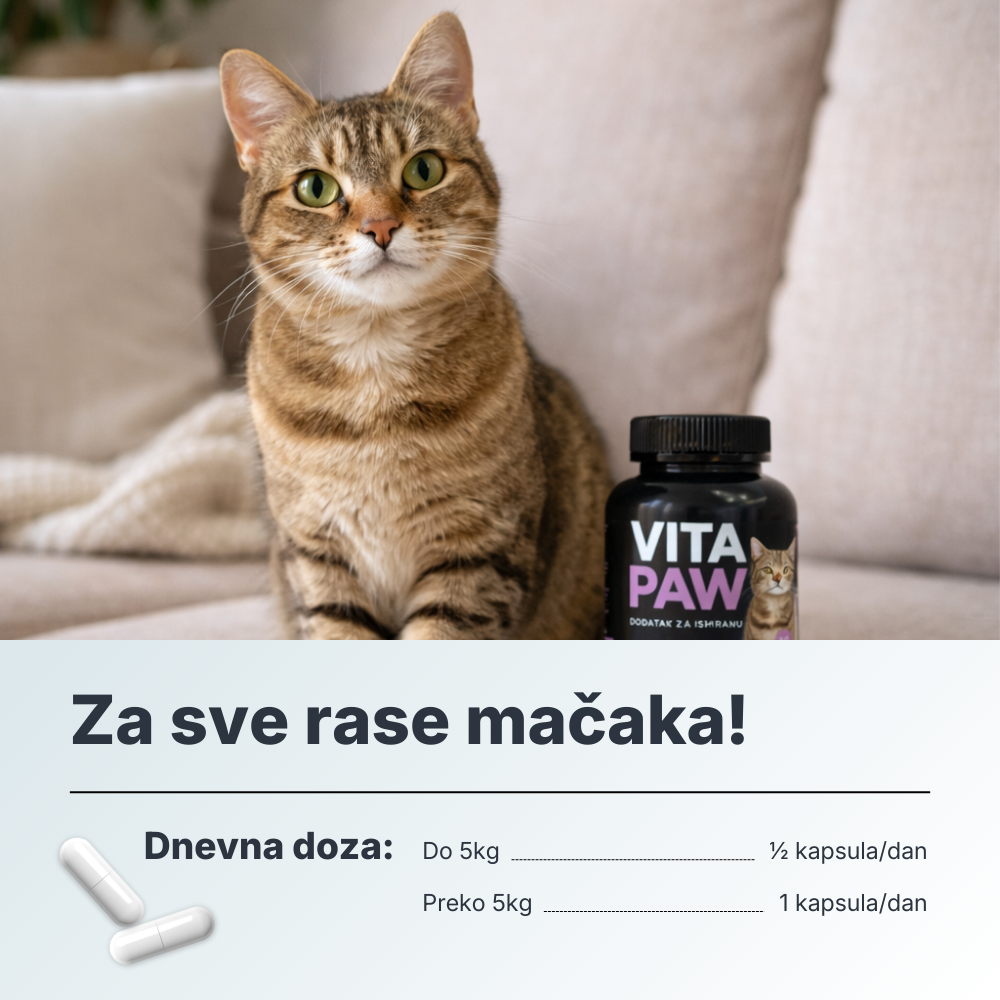 VitaPaw za mačke