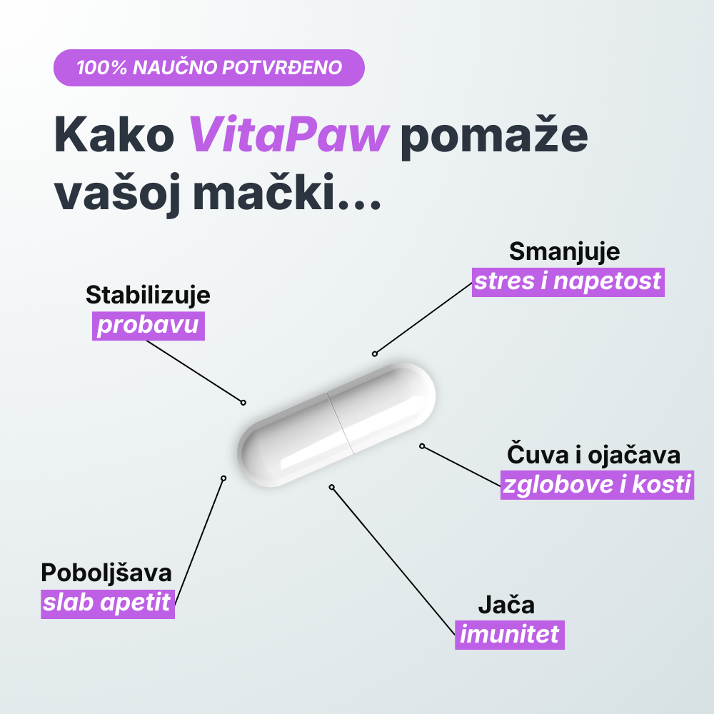 VitaPaw za mačke
