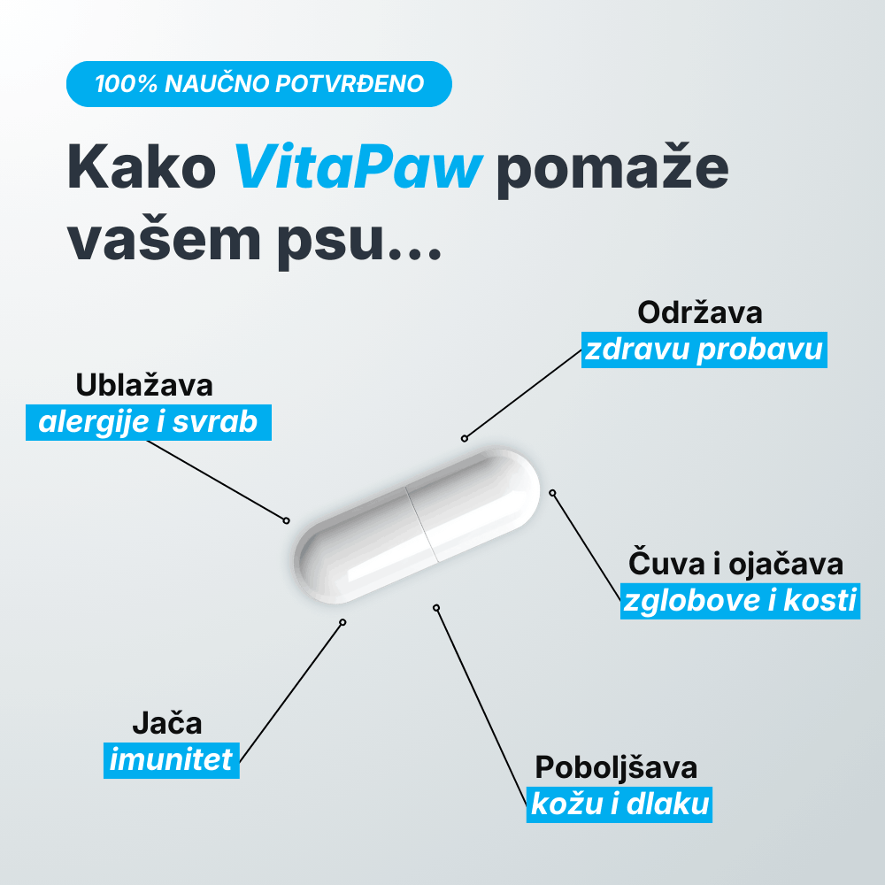 VitaPaw za pse