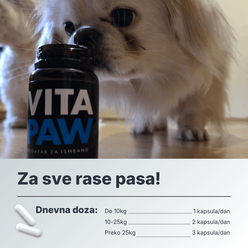 VitaPaw za pse